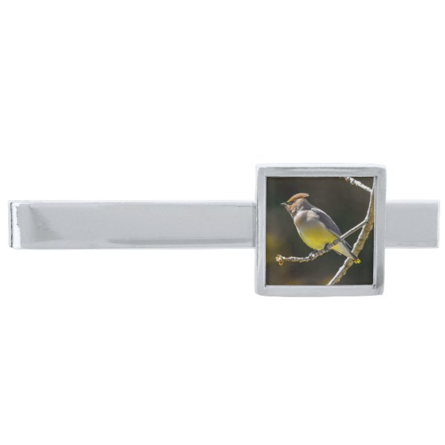 Cedar Waxwing Songbird Original Wild Bird Photo Silver Finish Tie Bar (Front)