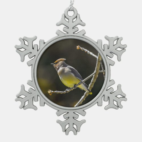 Cedar Waxwing Songbird Original Wild Bird Photo Snowflake Pewter Christmas Ornament