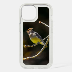 Cedar Waxwing Songbird Original Wild Bird Photo iPhone 15 Case
