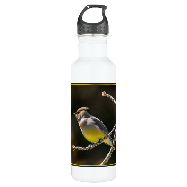Cedar Waxwing Songbird Original Wild Bird Photo Stainless Steel Water Bottle (Front)