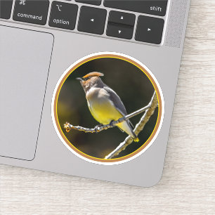 Cedar Waxwing Songbird Original Wild Bird Photo Sticker
