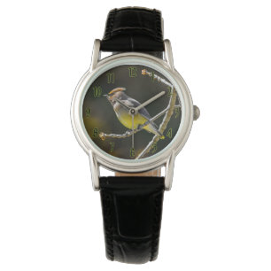 Cedar Waxwing Songbird Original Wild Bird Photo Watch