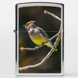 Cedar Waxwing Songbird Original Wild Bird Photo Zippo Lighter