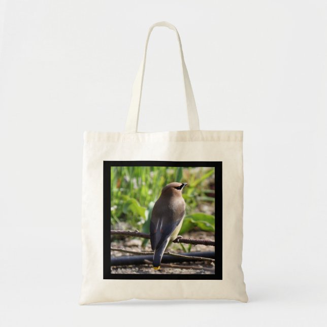 Cedar Waxwing  Tote Bag (Front)