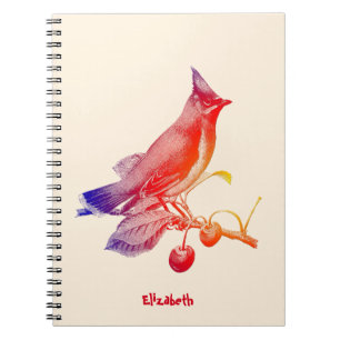 Cedar Waxwing Transparent Bird Notebook