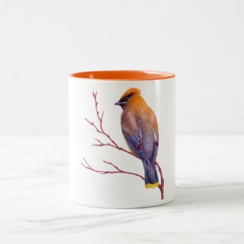 Cedar Waxwing Two-tone Coffee Mug by Ppeppermint at Zazzle