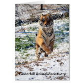 Cedarhill Animal Sanctuary Card (Front)