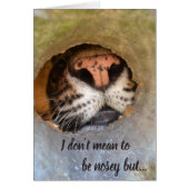 Cedarhill Animal Sanctuary Card (Front)