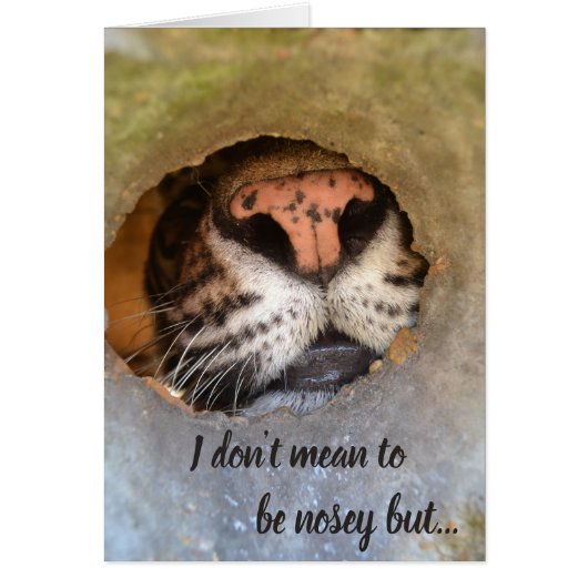 Cedarhill Animal Sanctuary Card (Front)