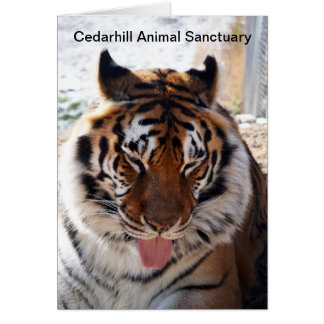 Cedarhill Animal Sanctuary Card