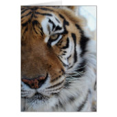 Cedarhill Animal Sanctuary Card (Front)