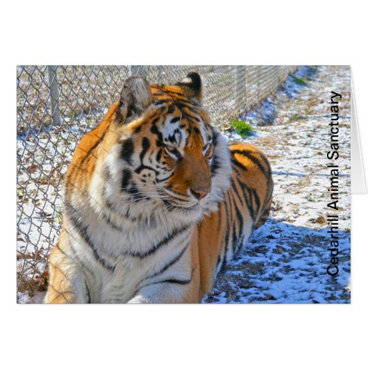 Cedarhill Animal Sanctuary Card (Front Horizontal)