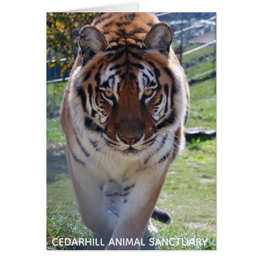 Cedarhill Animal Sanctuary Card (Front)