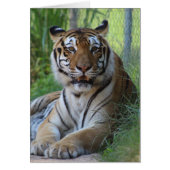 Cedarhill Animal Sanctuary Card (Front)