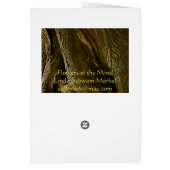 Cedars at St. Joseph's door County, WI (Back)