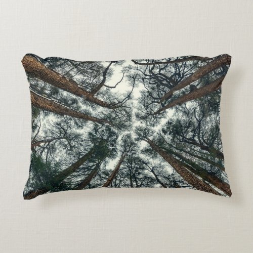 Cedars Forest Natural Lebanon Background Accent Pillow