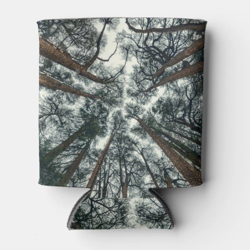 Cedars Forest Natural Lebanon Background Can Cooler