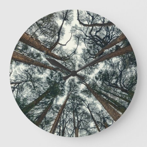 Cedars Forest Natural Lebanon Background Large Clock