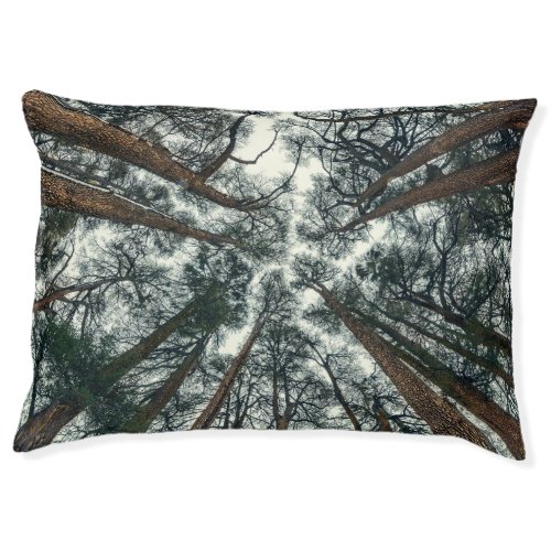 Cedars Forest Natural Lebanon Background Pet Bed