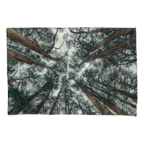 Cedars Forest Natural Lebanon Background Pillow Case