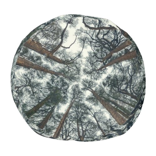 Cedars Forest Natural Lebanon Background Pouf