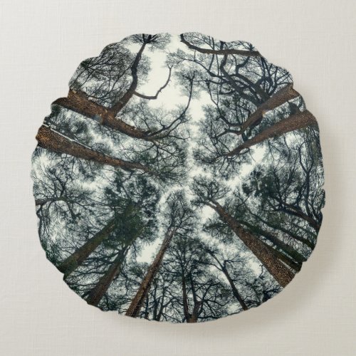 Cedars Forest Natural Lebanon Background Round Pillow