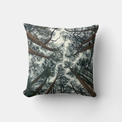 Cedars Forest Natural Lebanon Background Throw Pillow