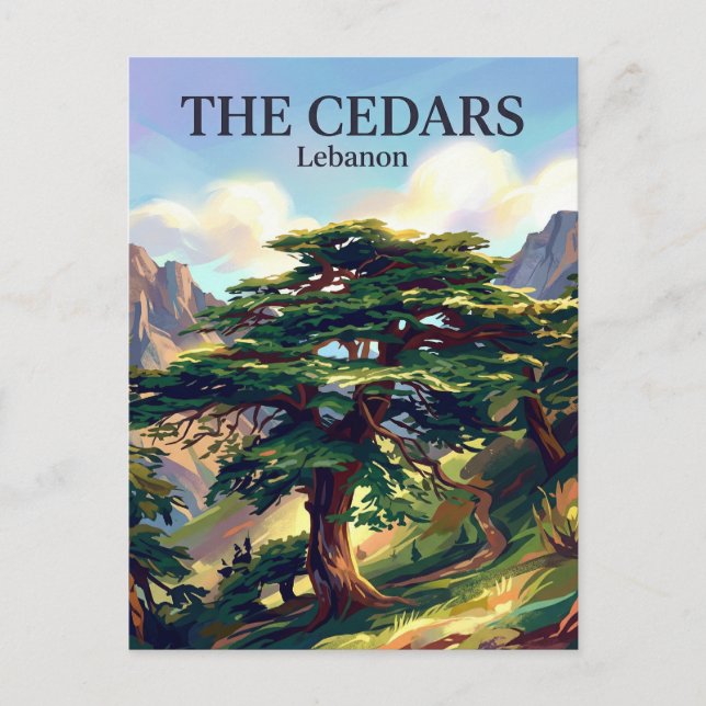 Cedars of God Lebanon Postcard (Front)