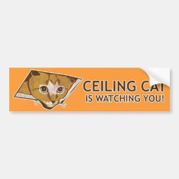 Ceiling Cat Is Watching You! Bumper Sticker by jamierushad at Zazzle