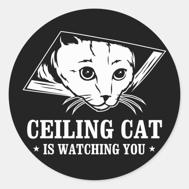 Ceiling Cat is Watching You Classic Round Sticker (Front)