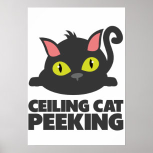 Ceiling Cat Peeking Funny Internet Meme Art Poster