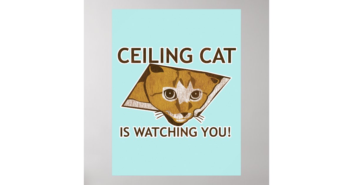 Ceiling Cat Poster Zazzle