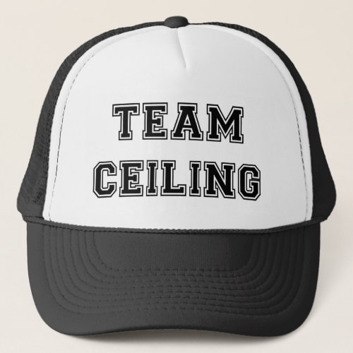 Ceiling Fan Trucker Hat