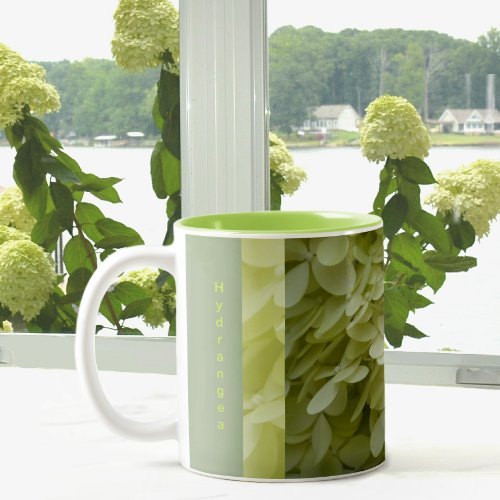 Celadon Green Hydrangea Blossoms Two_Tone Coffee Mug