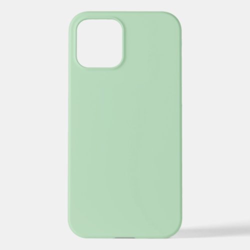 Celadon Green Phone Case