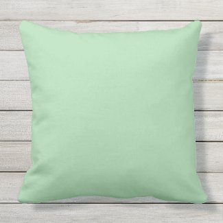 Celadon Green Solid Outdoor Throw Pillow 20x20