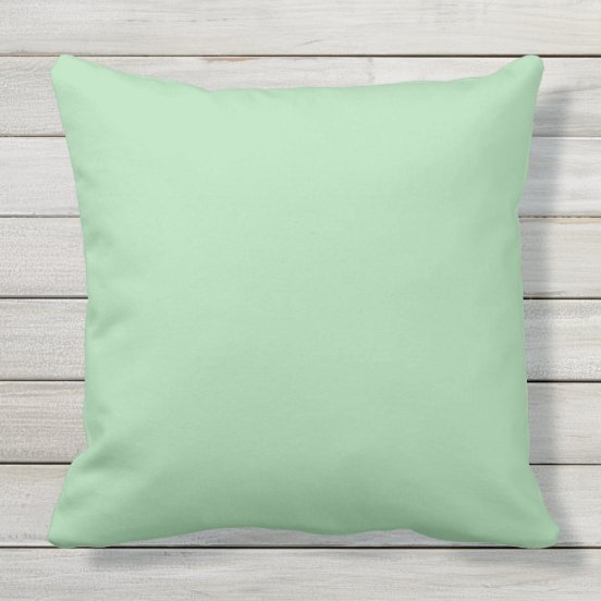 Solid Light Green Pillows Decorative & Throw Pillows Zazzle