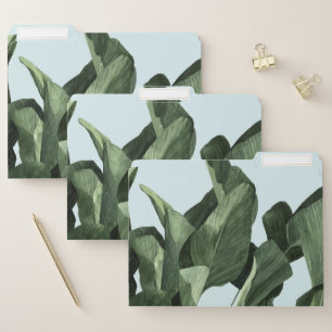Celadon Palms File Folder