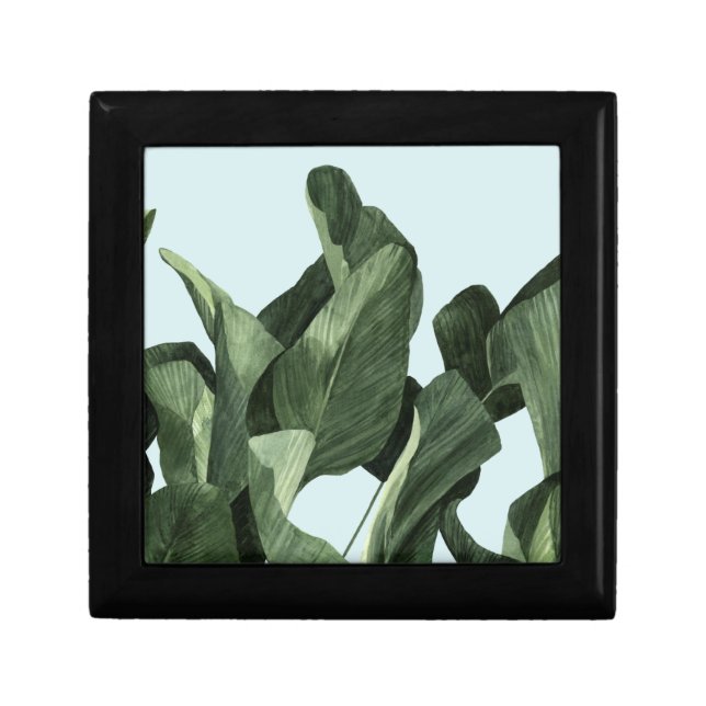 Celadon Palms Gift Box (Front)