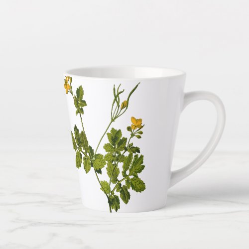 celandine floral flower herb Mug