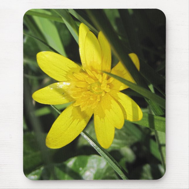 celandine mouse pad (Front)