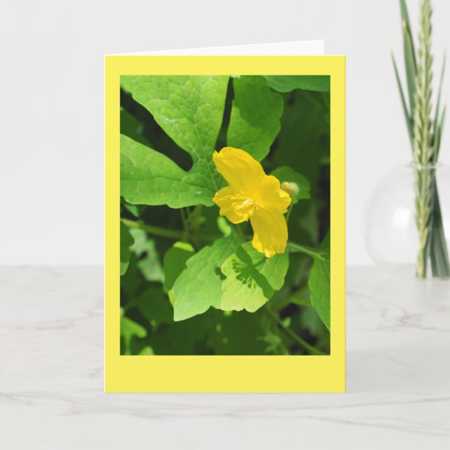 Celandine Poppy Blank Note Card (Front)