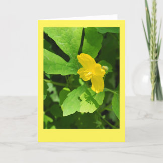 Celandine Poppy Blank Note Card
