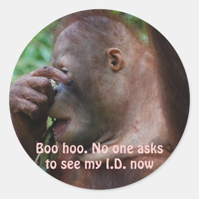 Celebrate Aging Classic Round Sticker (Front)