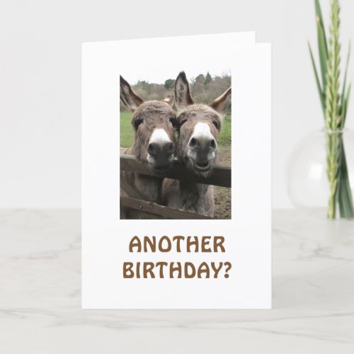 CELEBRATE BIRTHDAY TO GET ATTENTION ASKS MULES CARD