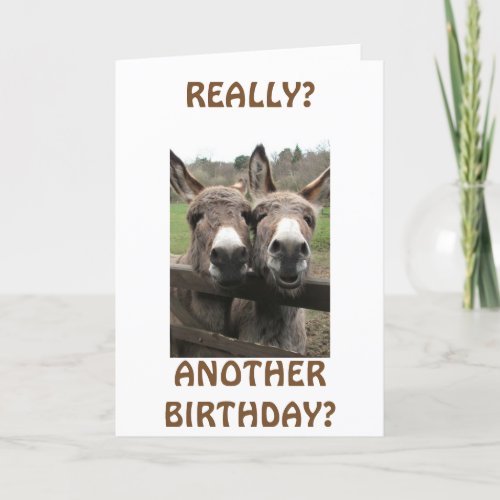 CELEBRATE BIRTHDAY TO GET ATTENTION ASKS MULES CARD