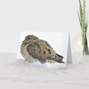 Celebrate Christ with Christmas Peace & Blessings Card