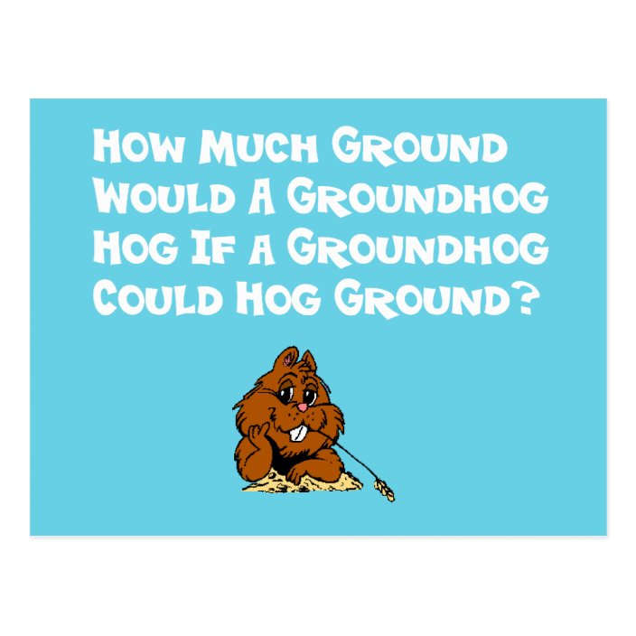 groundhog day postcard