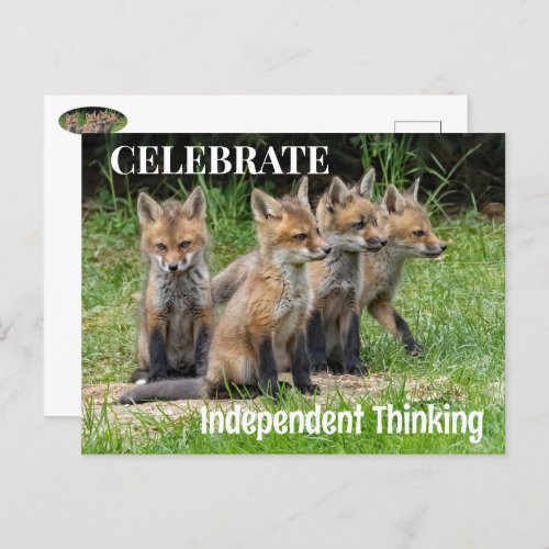Celebrate Independent Thinking Foxes Postcard