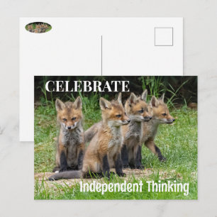 Celebrate Independent Thinking Foxes Postcard